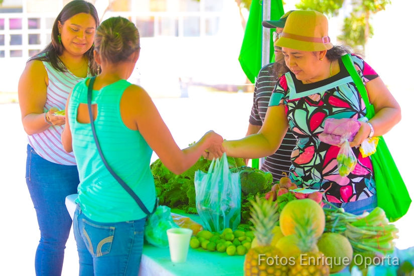 FERIA2